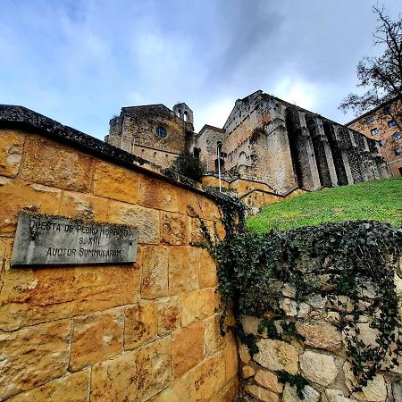 Apartamento Medieval En El Camino De Santiago Appartement Estella Buitenkant foto