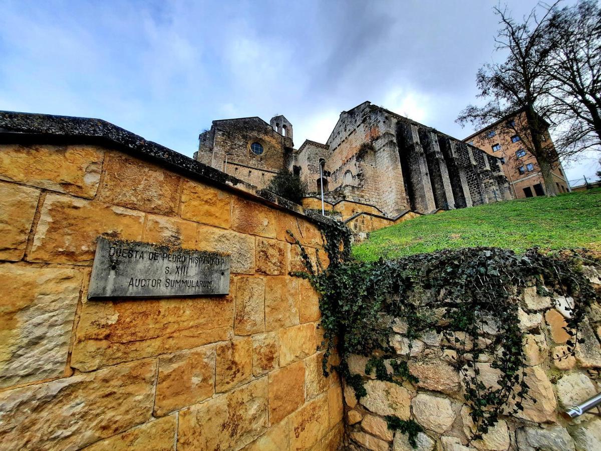 Apartamento Medieval En El Camino De Santiago Appartement Estella Buitenkant foto